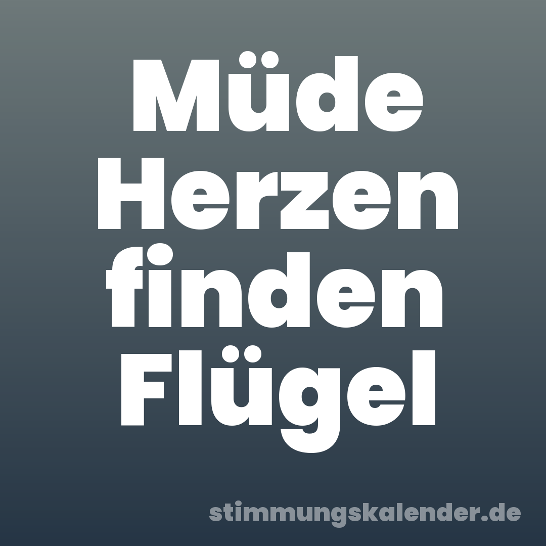 Müde Herzen finden Flügel