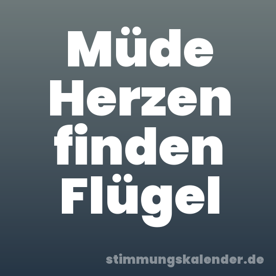 Müde Herzen finden Flügel