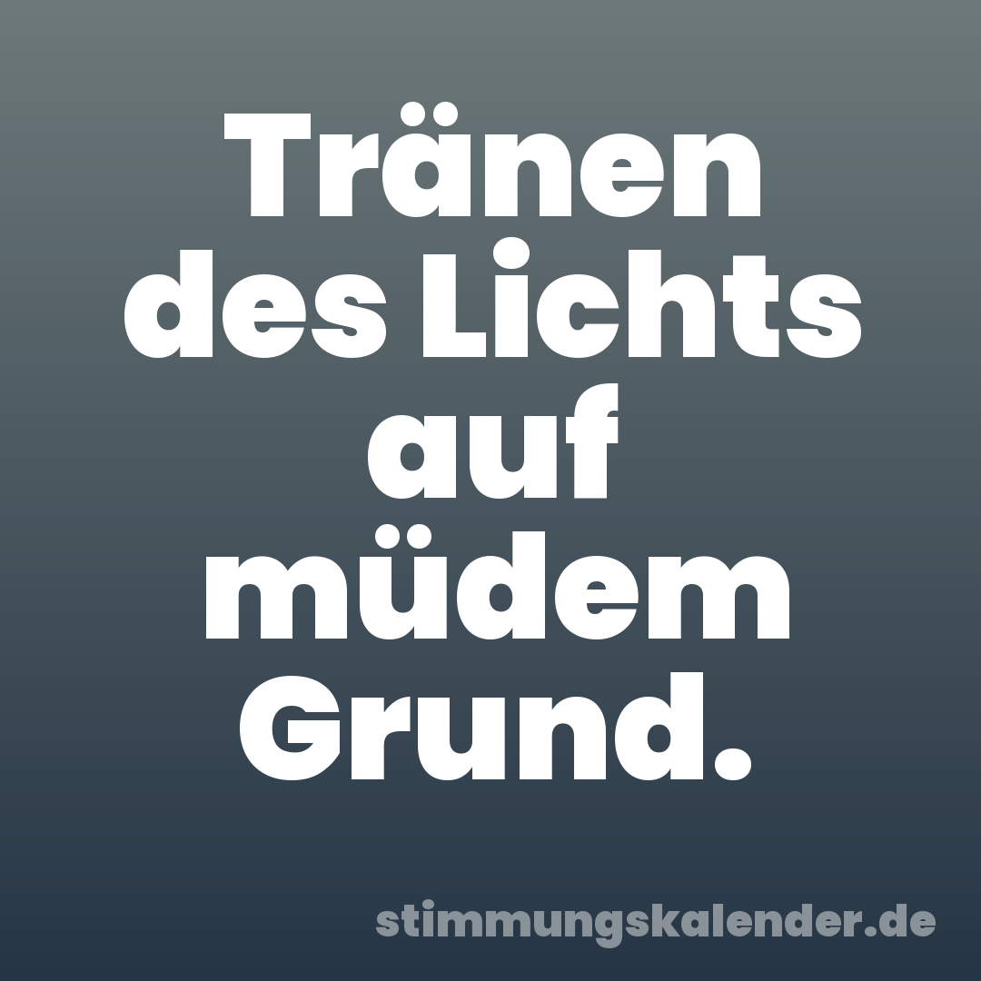 Tränen des Lichts auf müdem Grund.