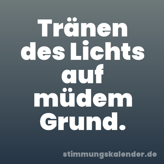 Tränen des Lichts auf müdem Grund.