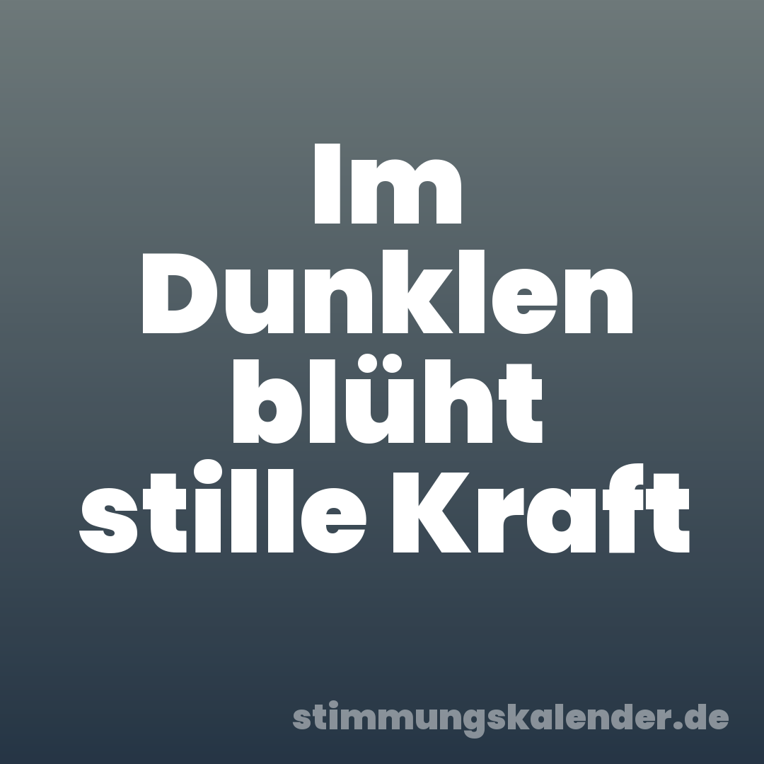 Im Dunklen blüht stille Kraft
