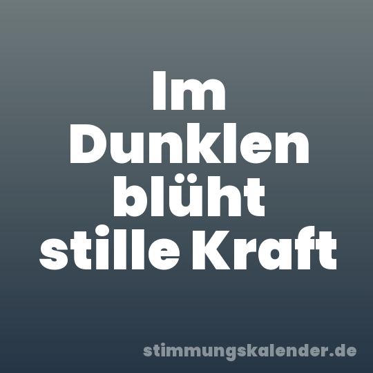 Im Dunklen blüht stille Kraft