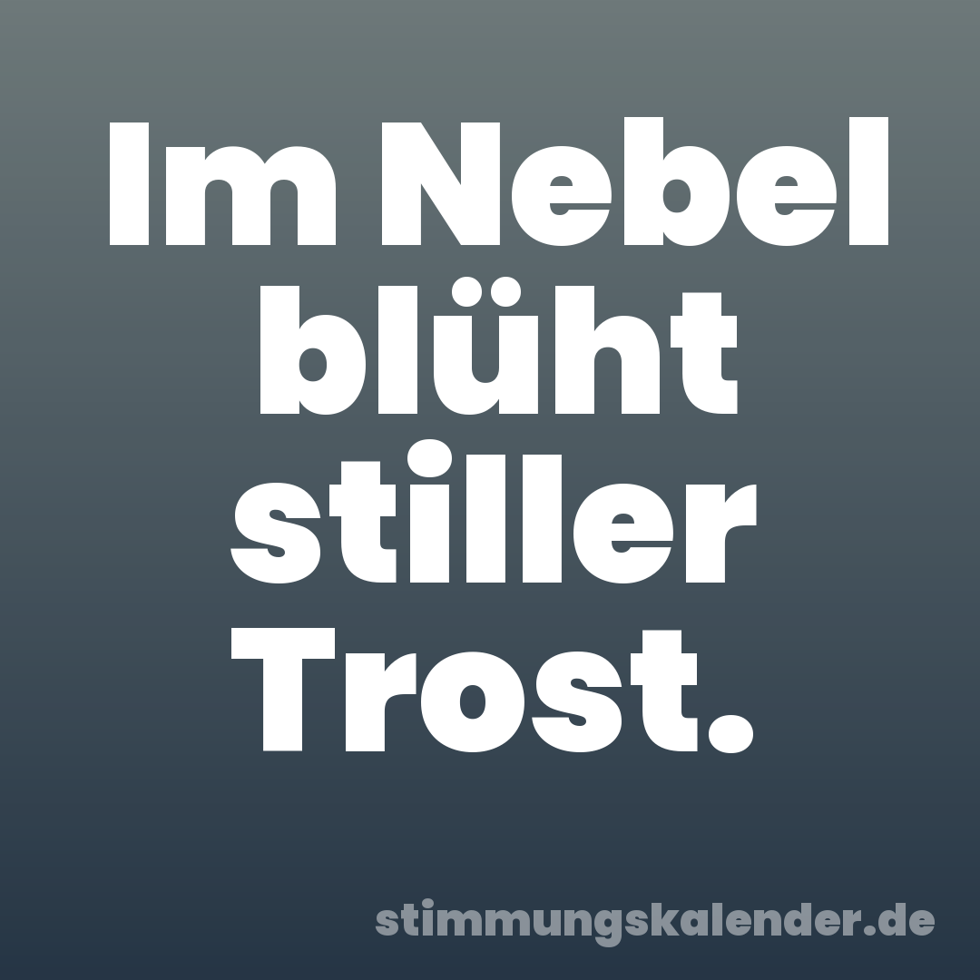 Im Nebel blüht stiller Trost.
