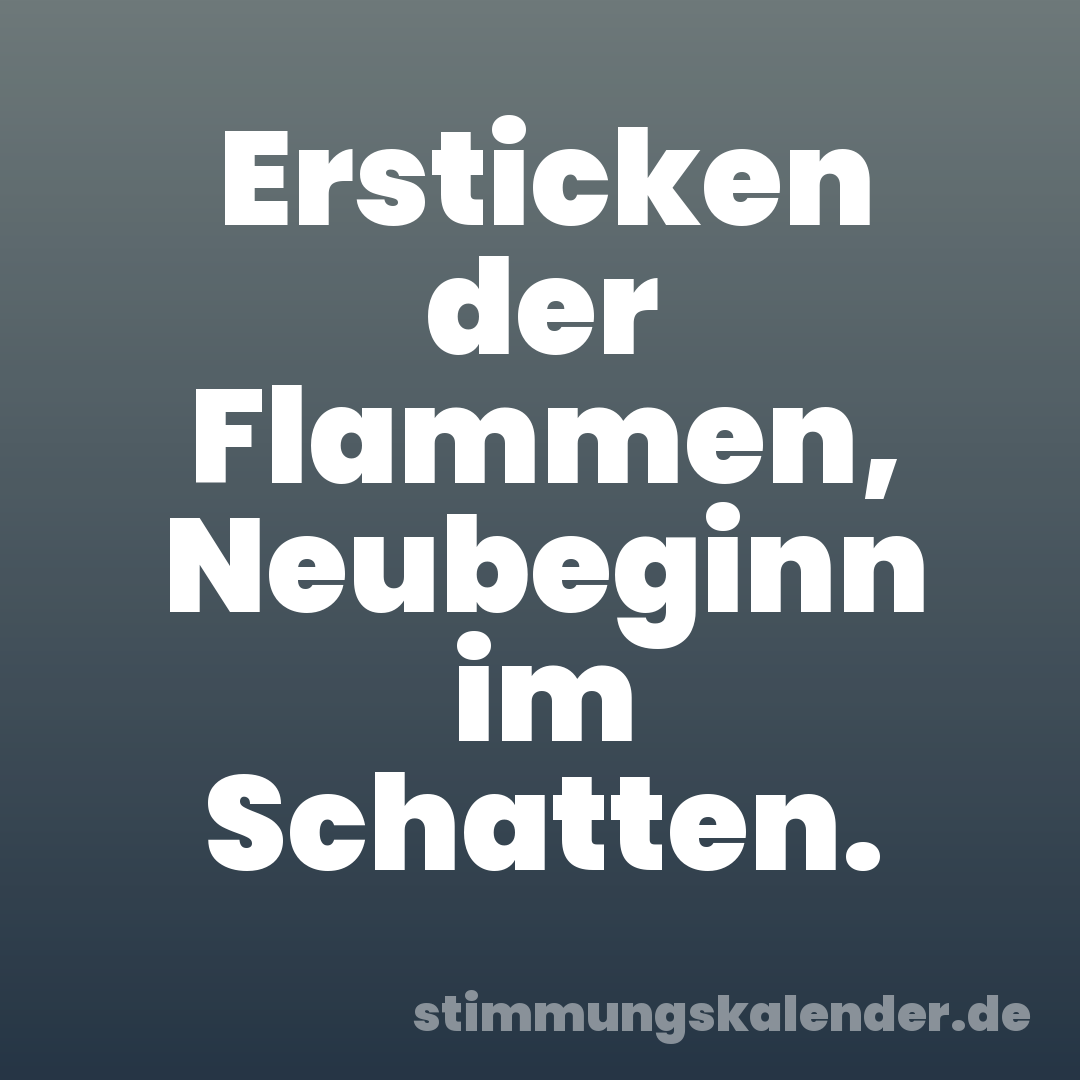 Ersticken der Flammen, Neubeginn im Schatten.