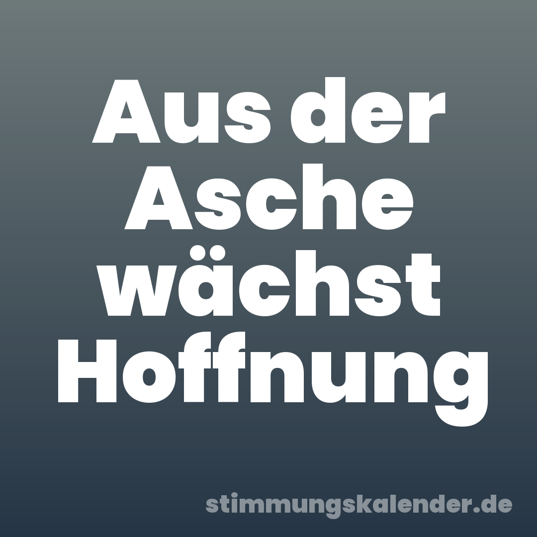 Aus der Asche wächst Hoffnung