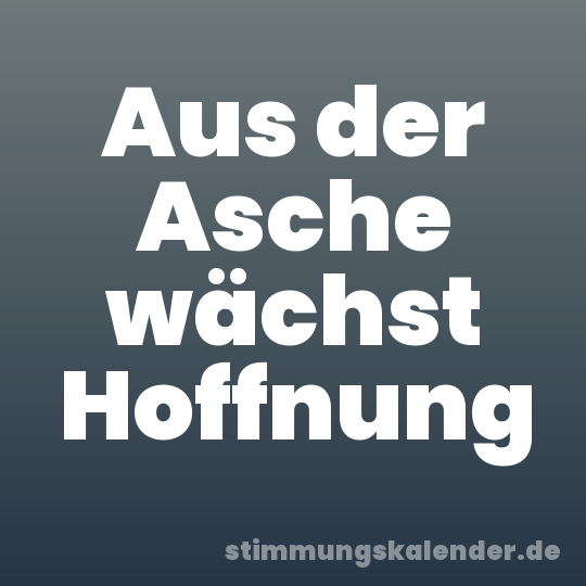Aus der Asche wächst Hoffnung