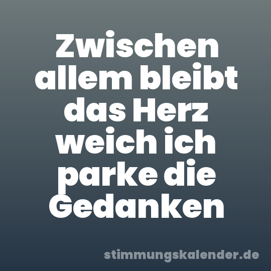 Zwischen allem bleibt das Herz weich ich parke die Gedanken