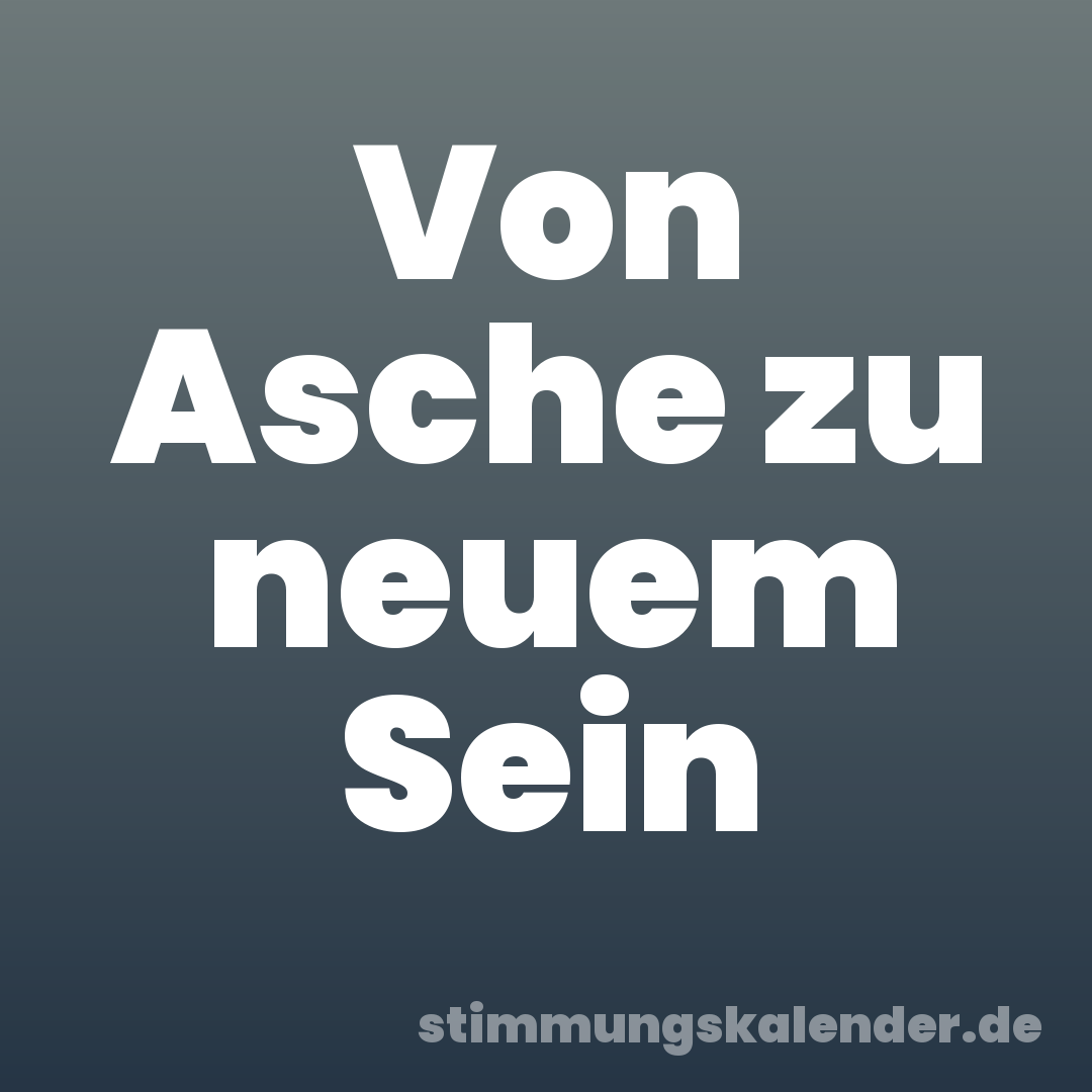 Von Asche zu neuem Sein