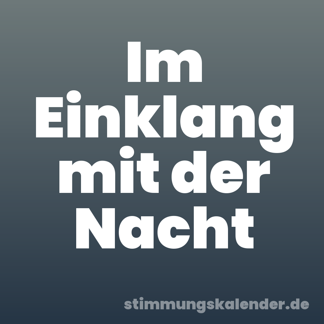 Im Einklang mit der Nacht