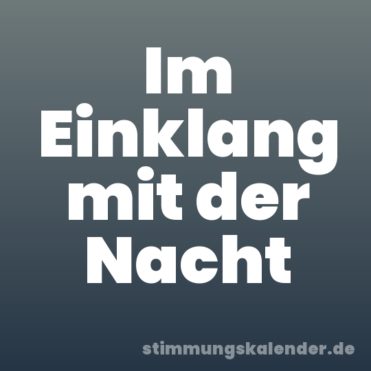 Im Einklang mit der Nacht