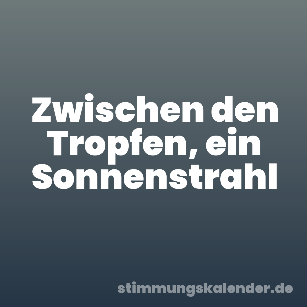 Zwischen den Tropfen, ein Sonnenstrahl