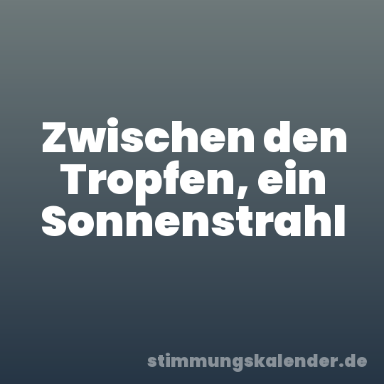 Zwischen den Tropfen, ein Sonnenstrahl