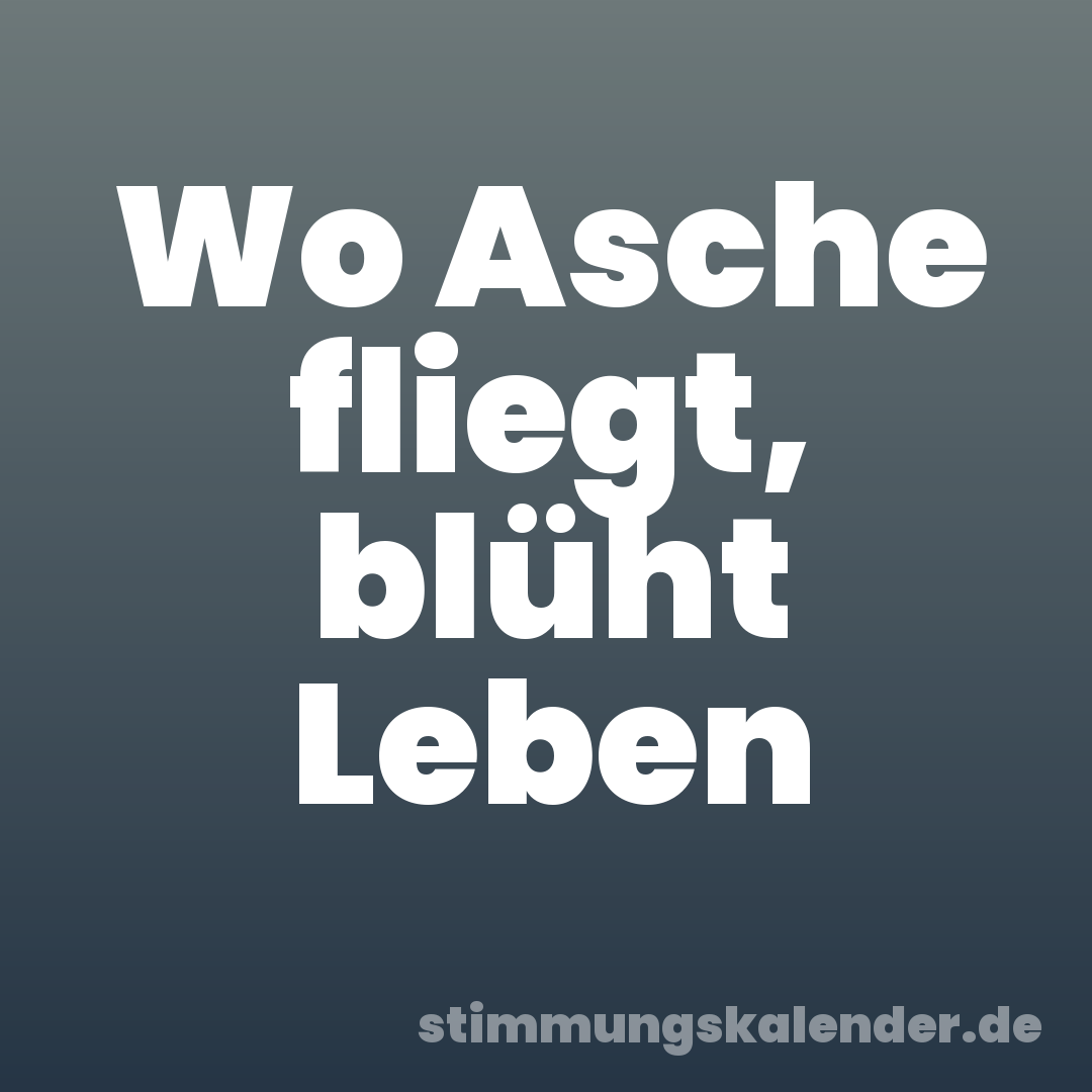 Wo Asche fliegt, blüht Leben