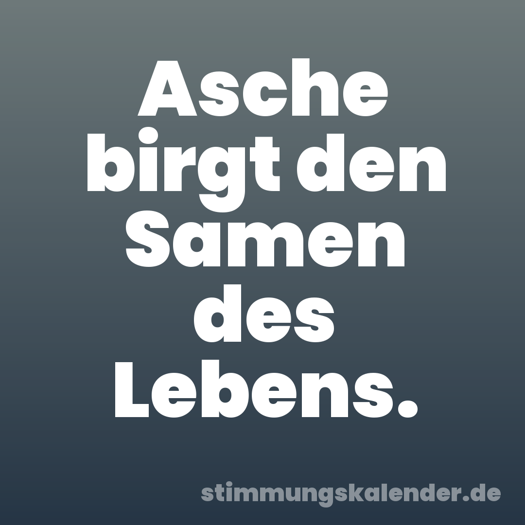Asche birgt den Samen des Lebens.