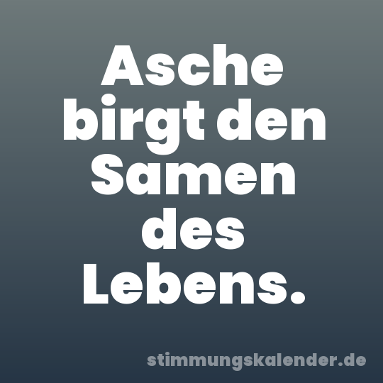 Asche birgt den Samen des Lebens.