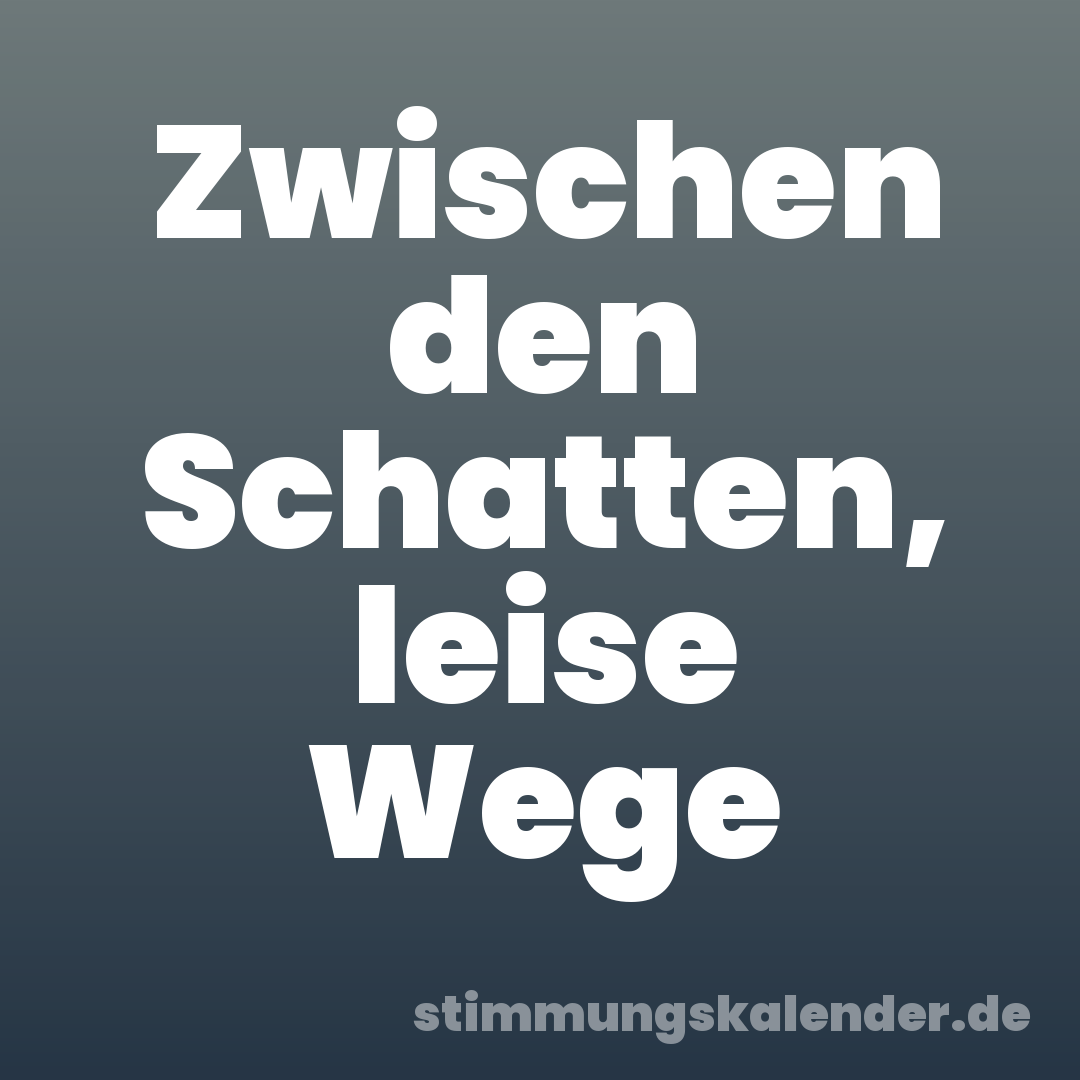 Zwischen den Schatten, leise Wege