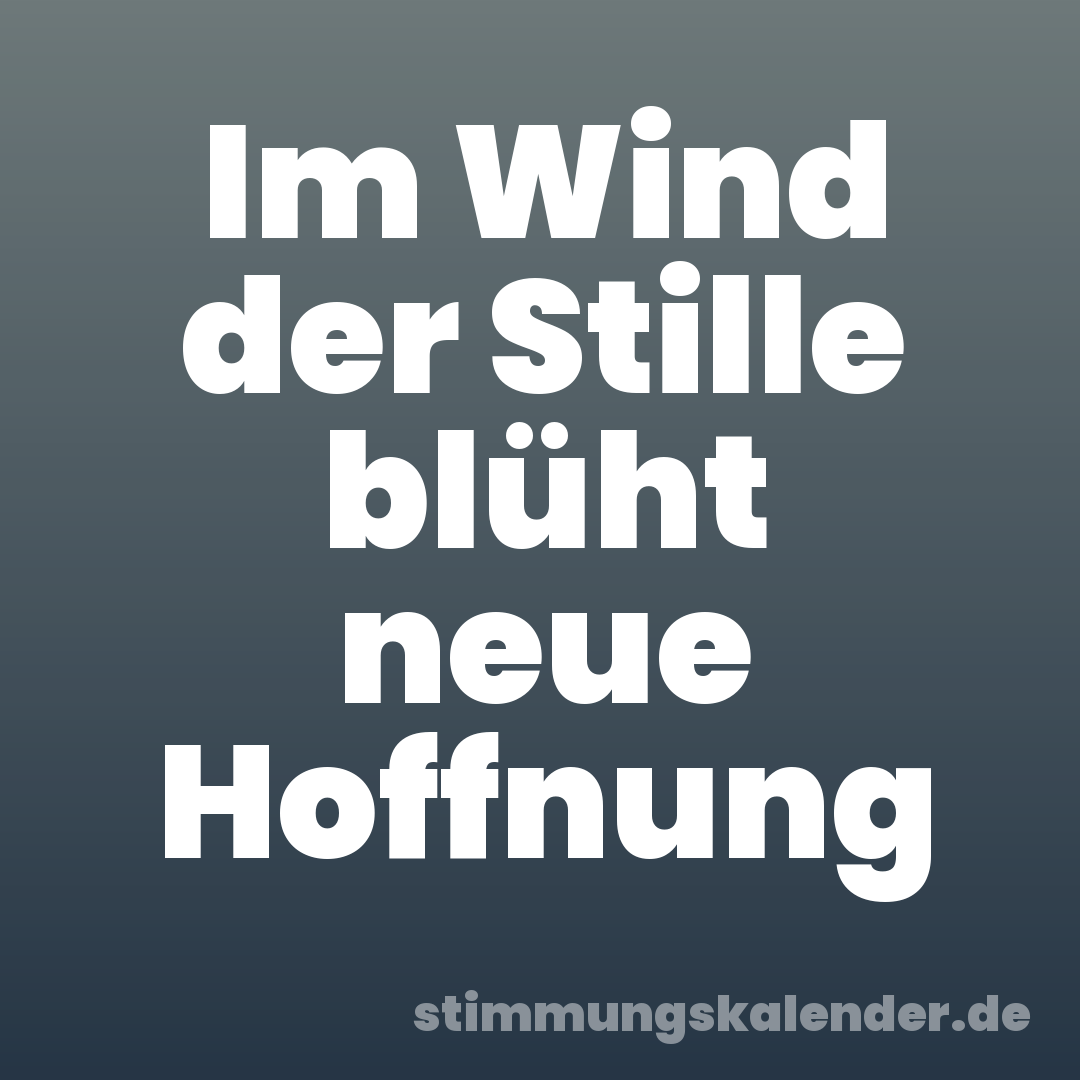 Im Wind der Stille blüht neue Hoffnung