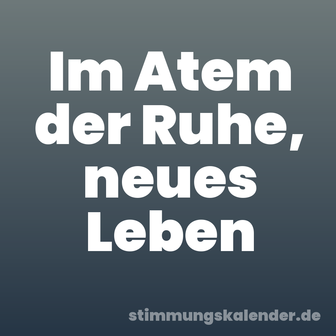 Im Atem der Ruhe, neues Leben