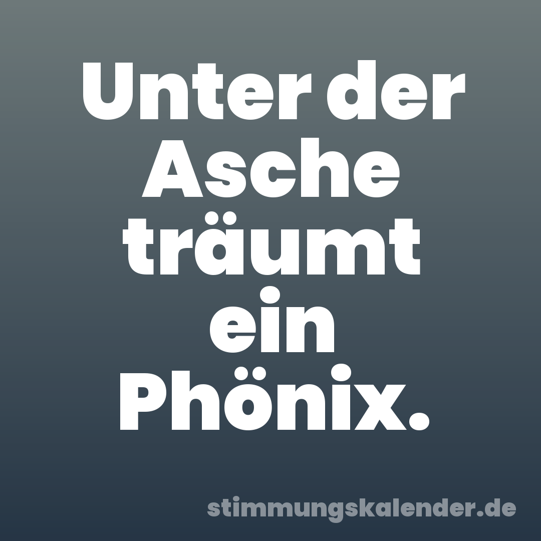 Unter der Asche träumt ein Phönix.
