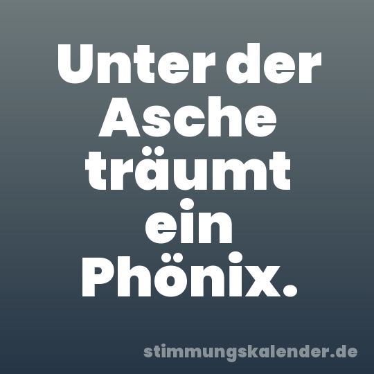 Unter der Asche träumt ein Phönix.