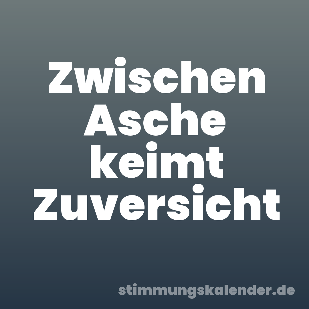 Zwischen Asche keimt Zuversicht