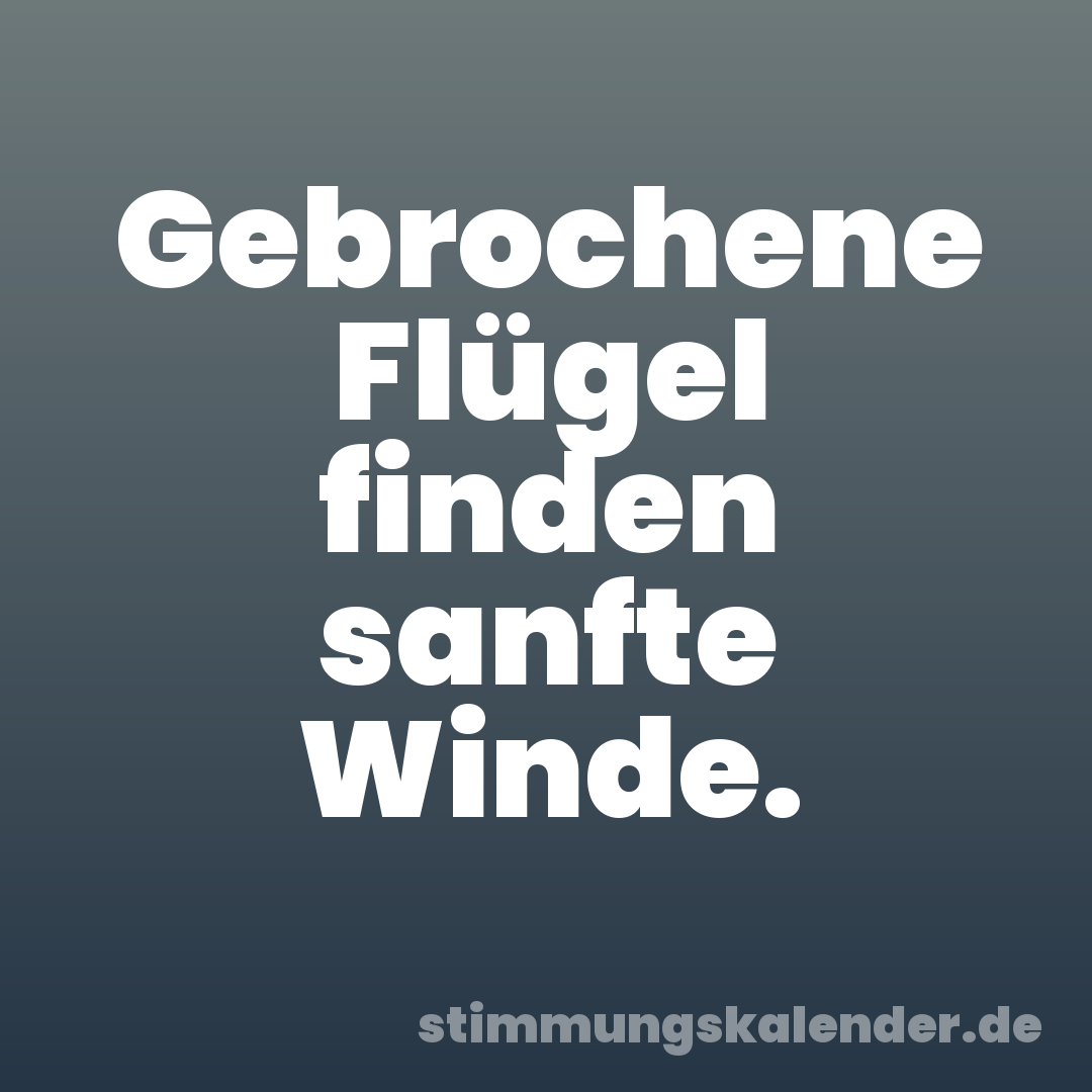 Gebrochene Flügel finden sanfte Winde.
