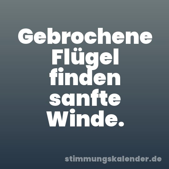 Gebrochene Flügel finden sanfte Winde.