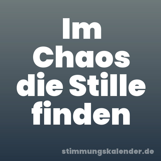 Im Chaos die Stille finden