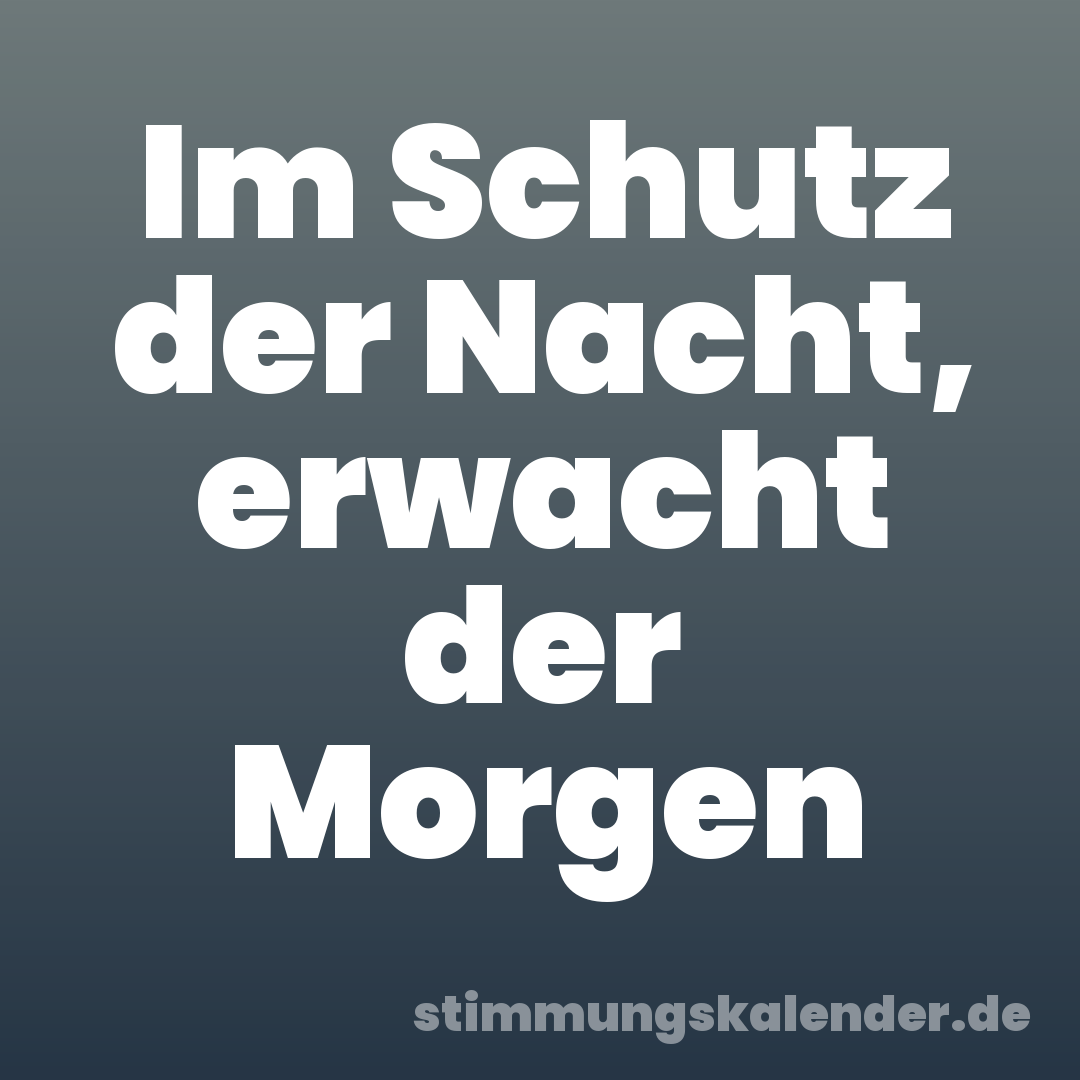 Im Schutz der Nacht, erwacht der Morgen