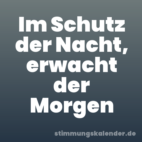 Im Schutz der Nacht, erwacht der Morgen
