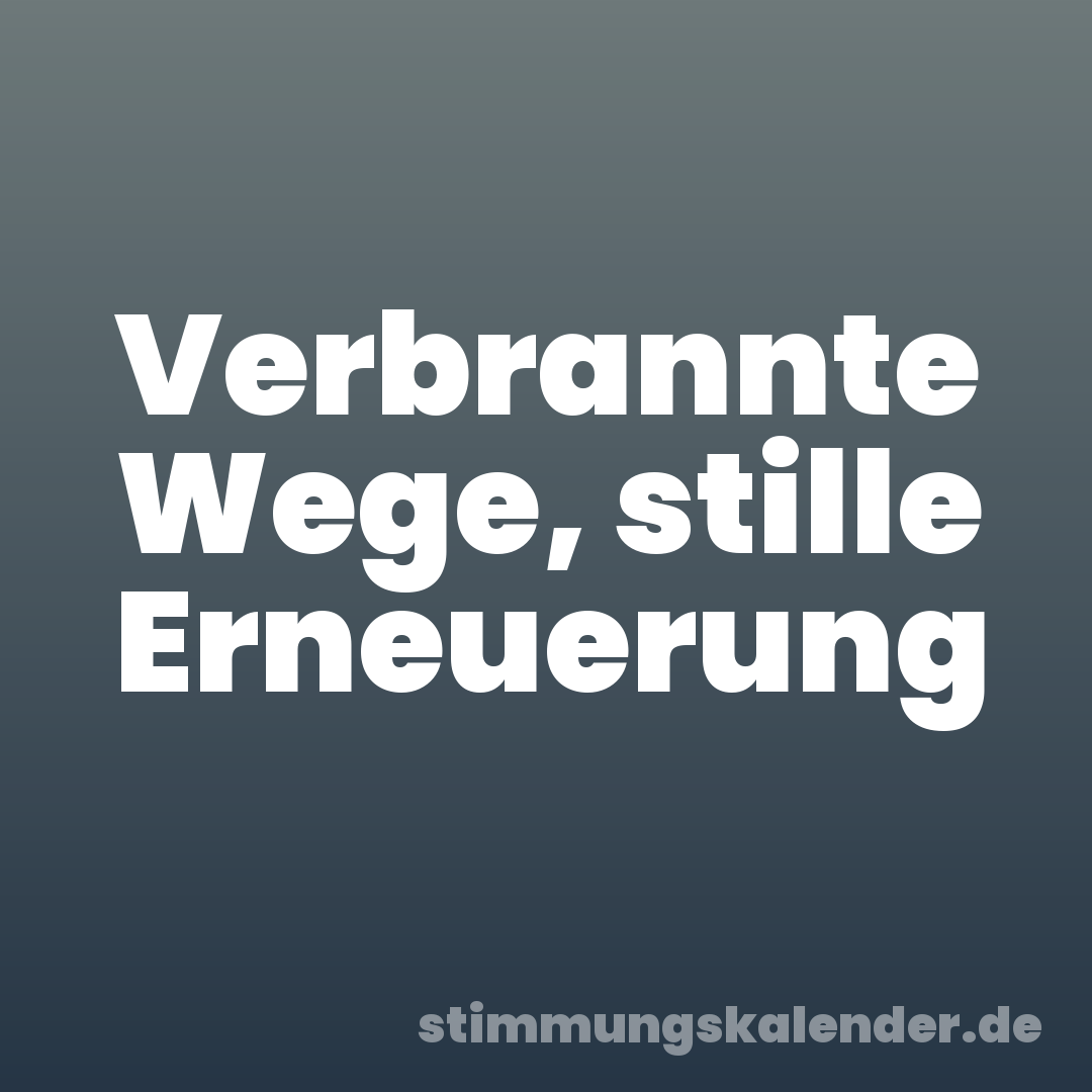 Verbrannte Wege, stille Erneuerung