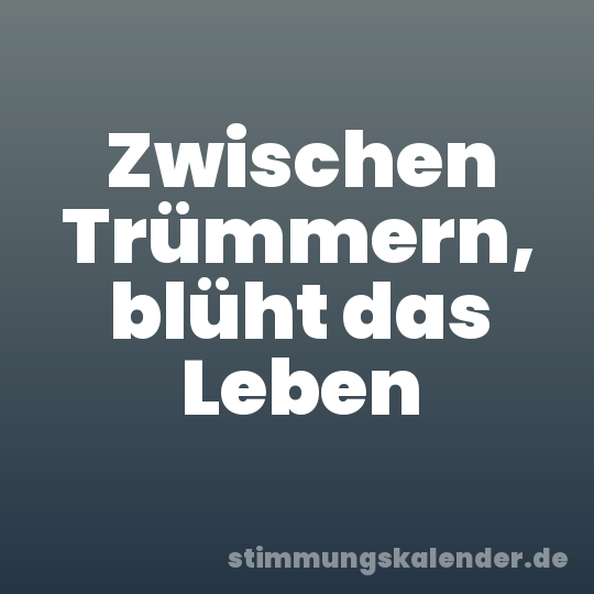Zwischen Trümmern, blüht das Leben