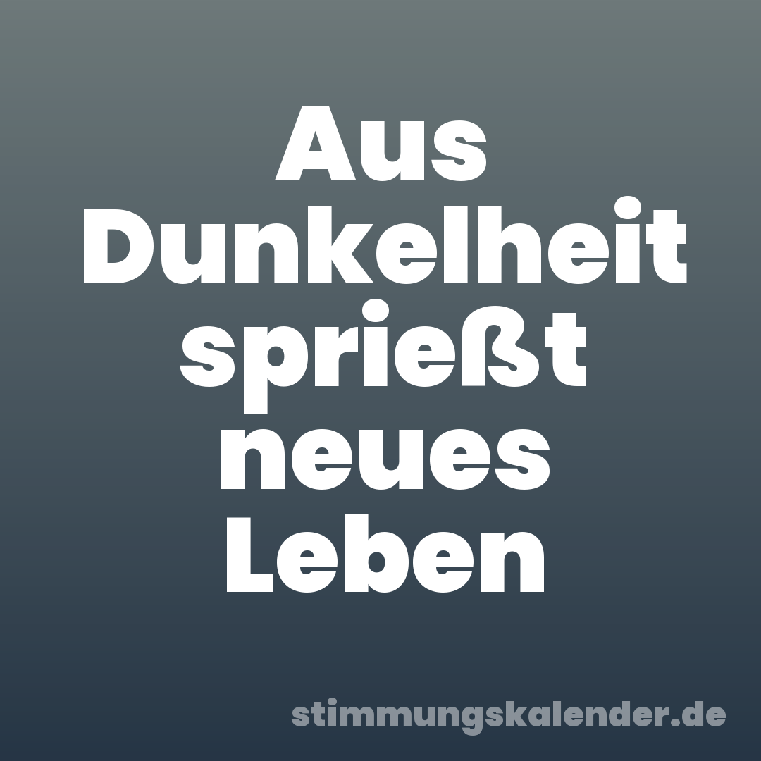 Aus Dunkelheit sprießt neues Leben