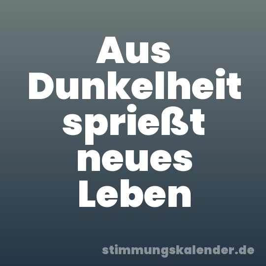 Aus Dunkelheit sprießt neues Leben