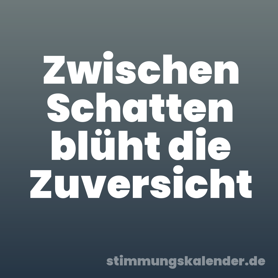 Zwischen Schatten blüht die Zuversicht