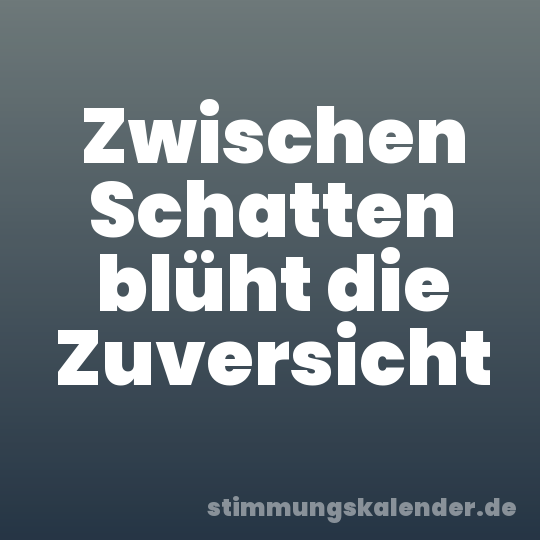 Zwischen Schatten blüht die Zuversicht