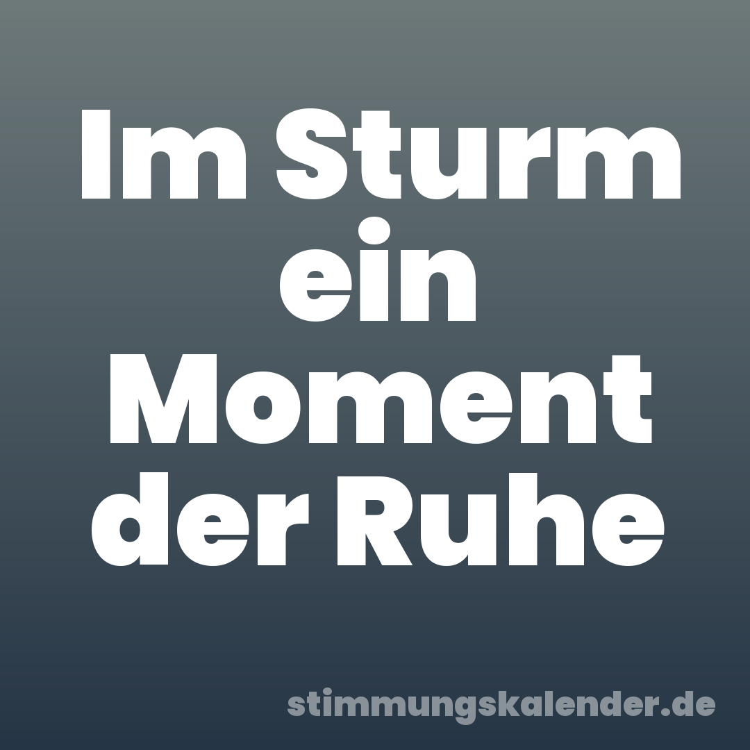 Im Sturm ein Moment der Ruhe