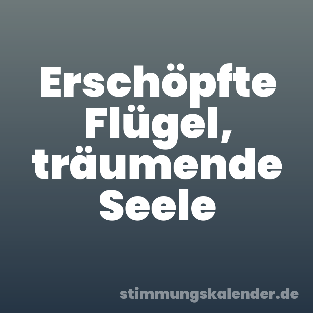 Erschöpfte Flügel, träumende Seele