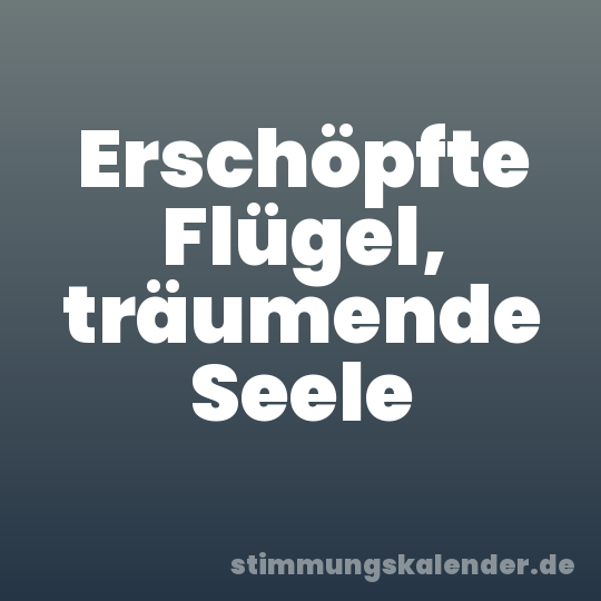 Erschöpfte Flügel, träumende Seele