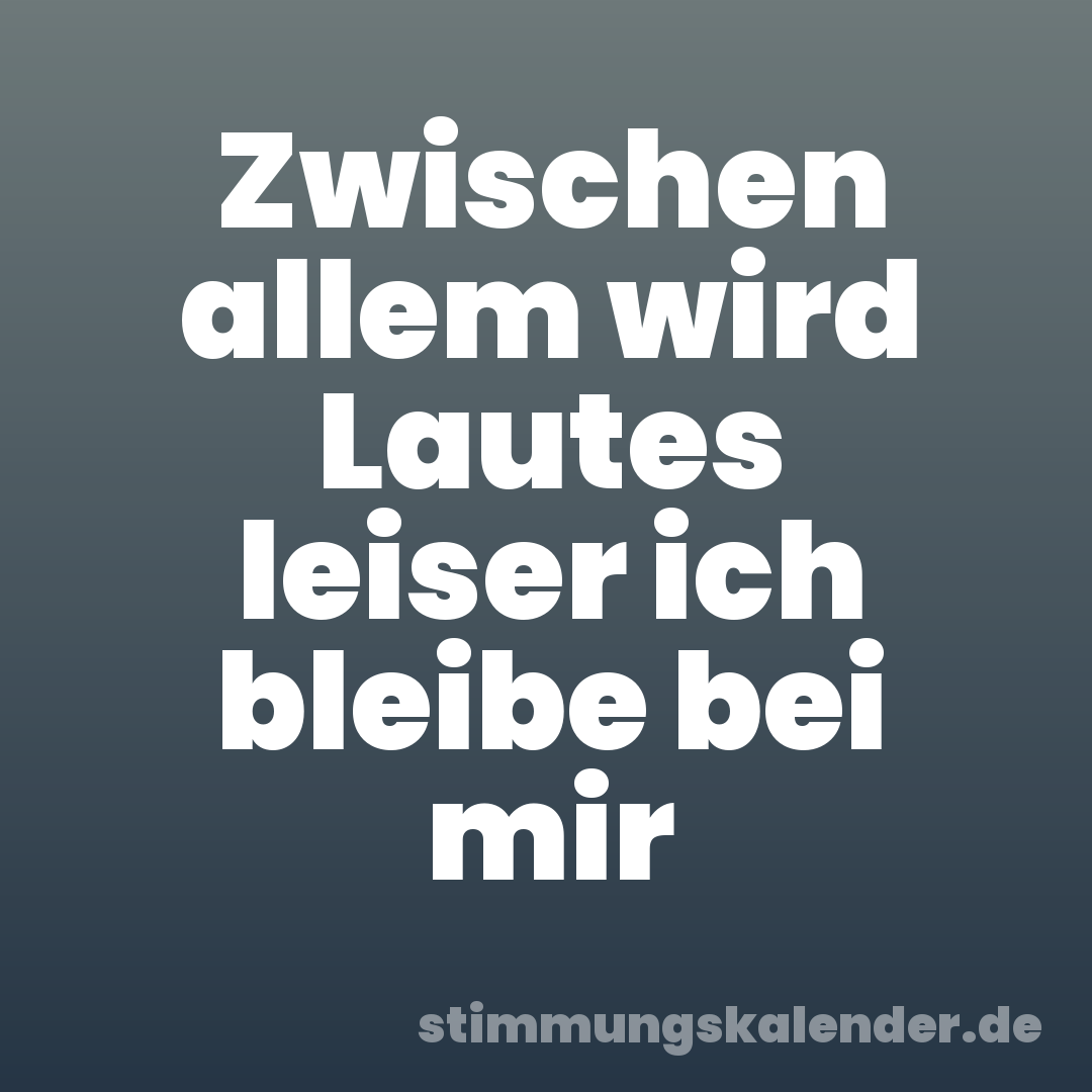 Zwischen allem wird Lautes leiser ich bleibe bei mir