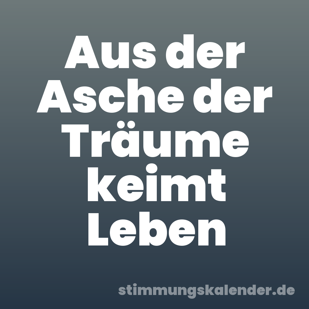 Aus der Asche der Träume keimt Leben