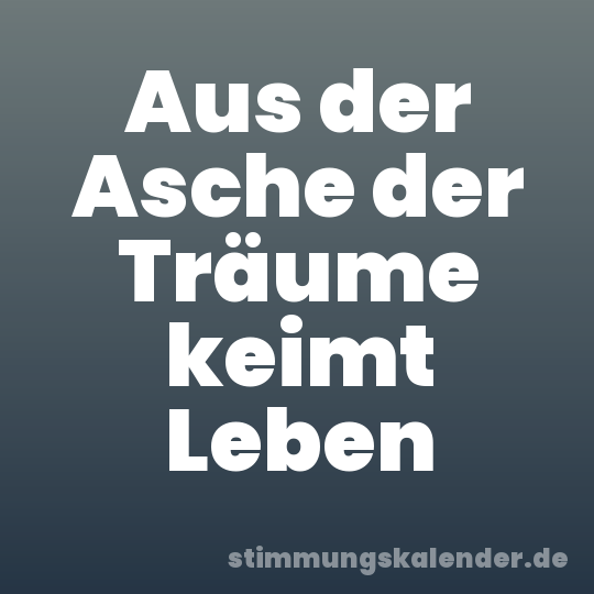 Aus der Asche der Träume keimt Leben