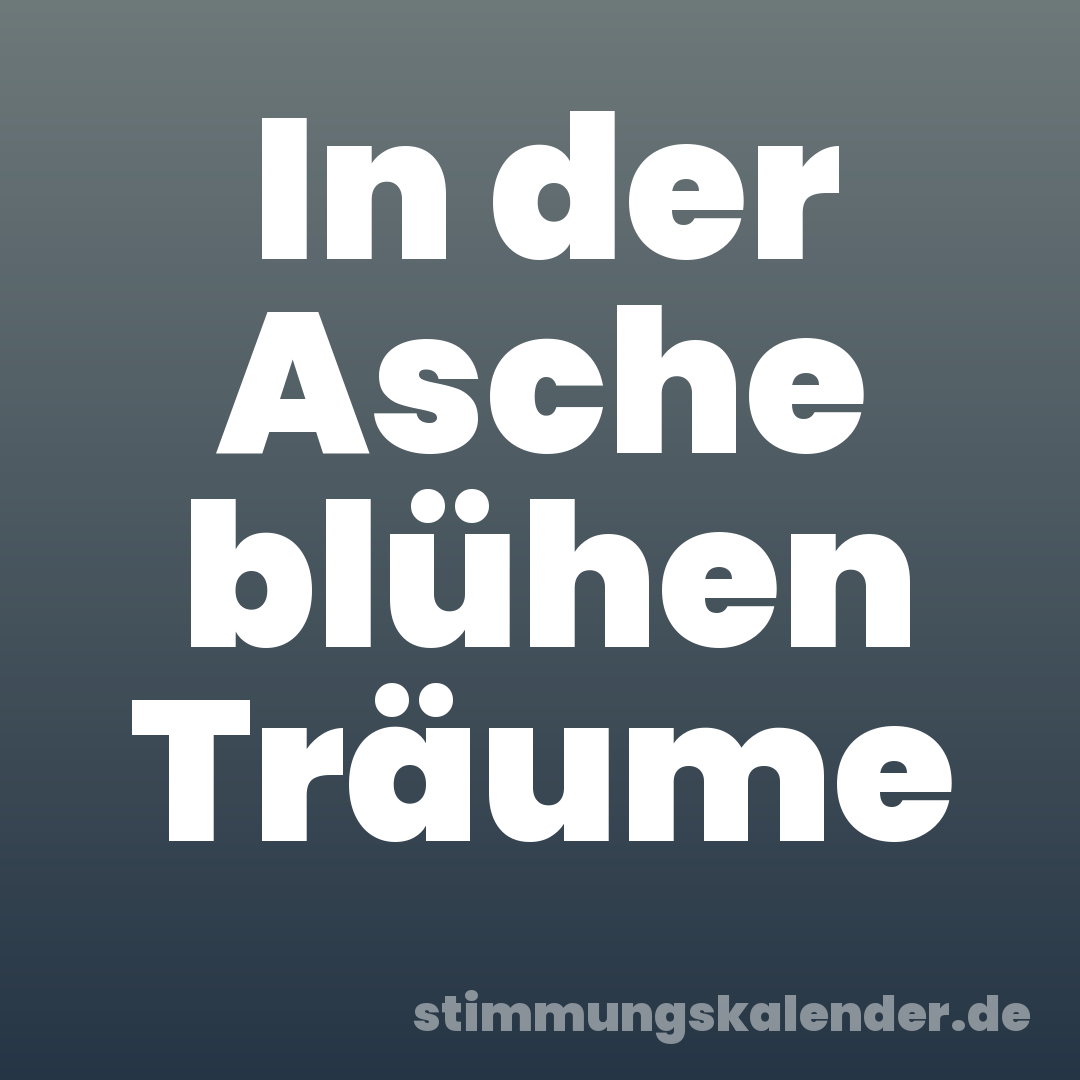 In der Asche blühen Träume