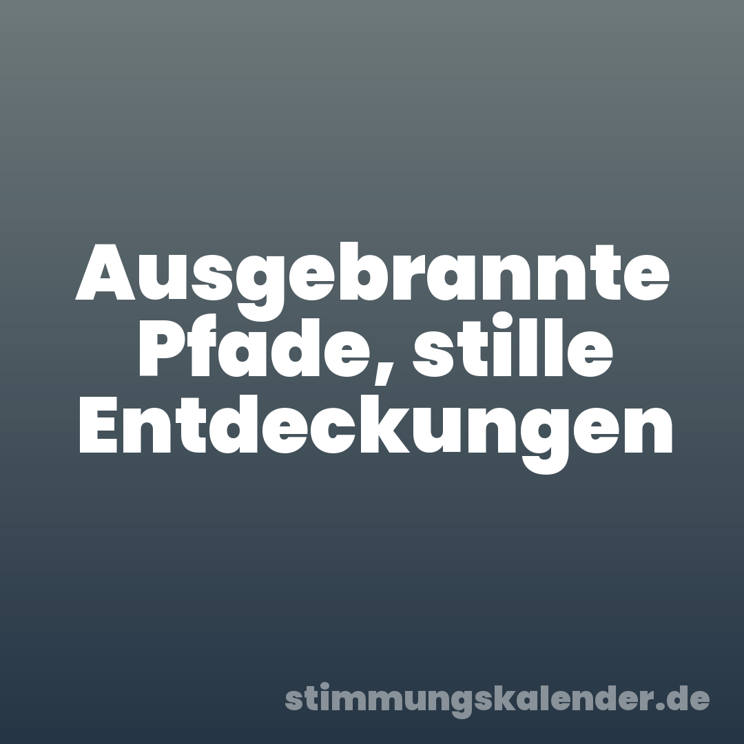 Ausgebrannte Pfade, stille Entdeckungen