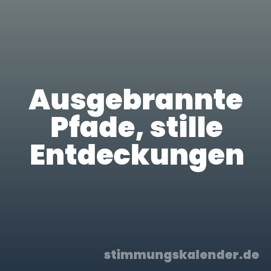 Ausgebrannte Pfade, stille Entdeckungen