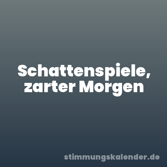 Schattenspiele, zarter Morgen