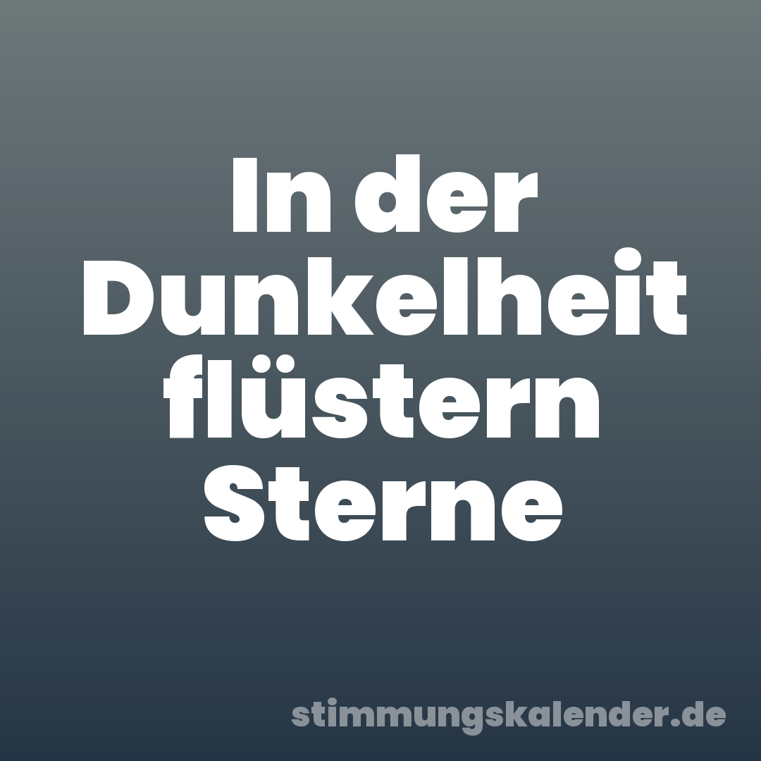In der Dunkelheit flüstern Sterne