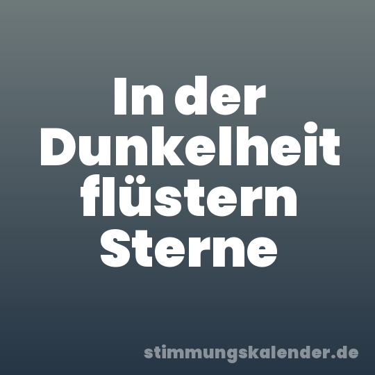 In der Dunkelheit flüstern Sterne