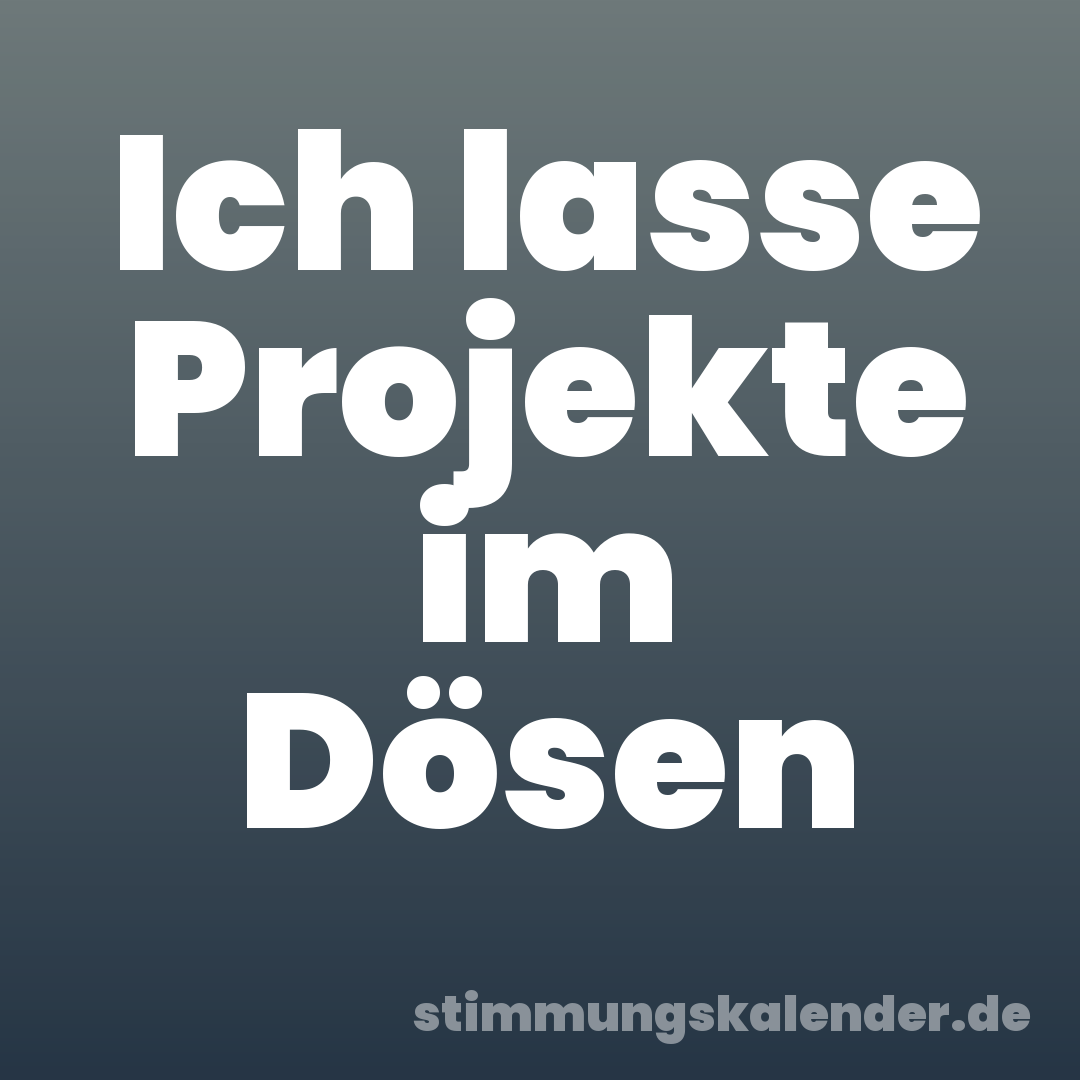 Ich lasse Projekte im Dösen