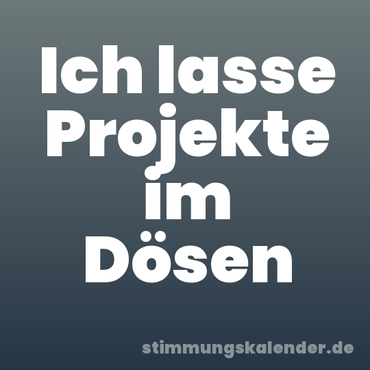 Ich lasse Projekte im Dösen